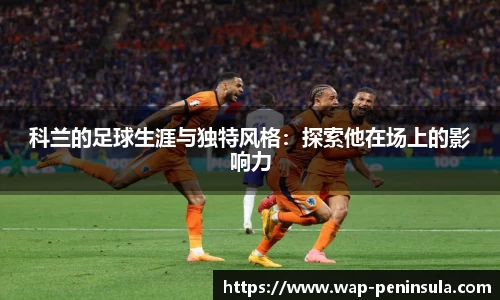 半岛体育公司