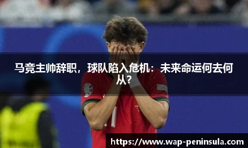 半岛体育官网