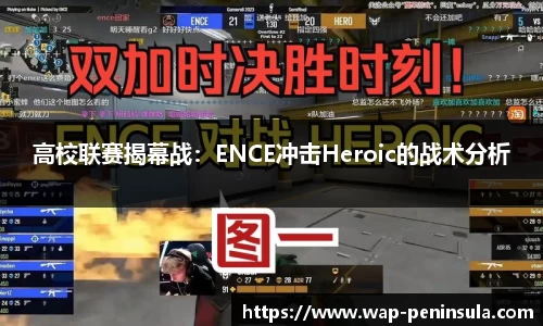 半岛体育公司